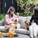 Pet-Friendly Cafes and Restaurants in Bangkok